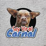 SoyViralCarnal